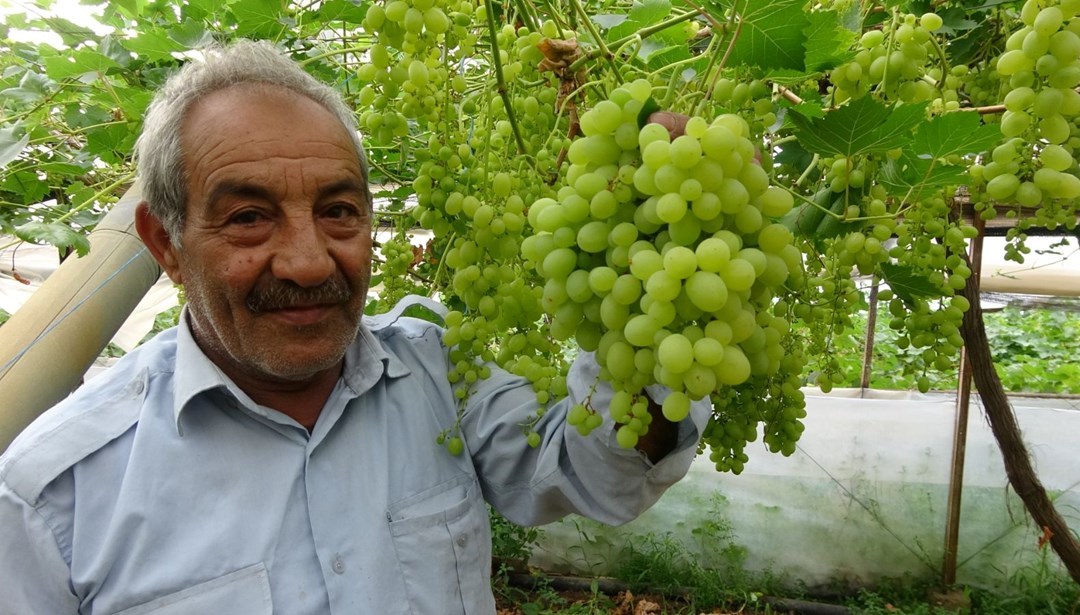 Zirai Don, Meyve Fiyatlarını Yükseltti: İlk Ürünler 250 TL'den Satılıyor